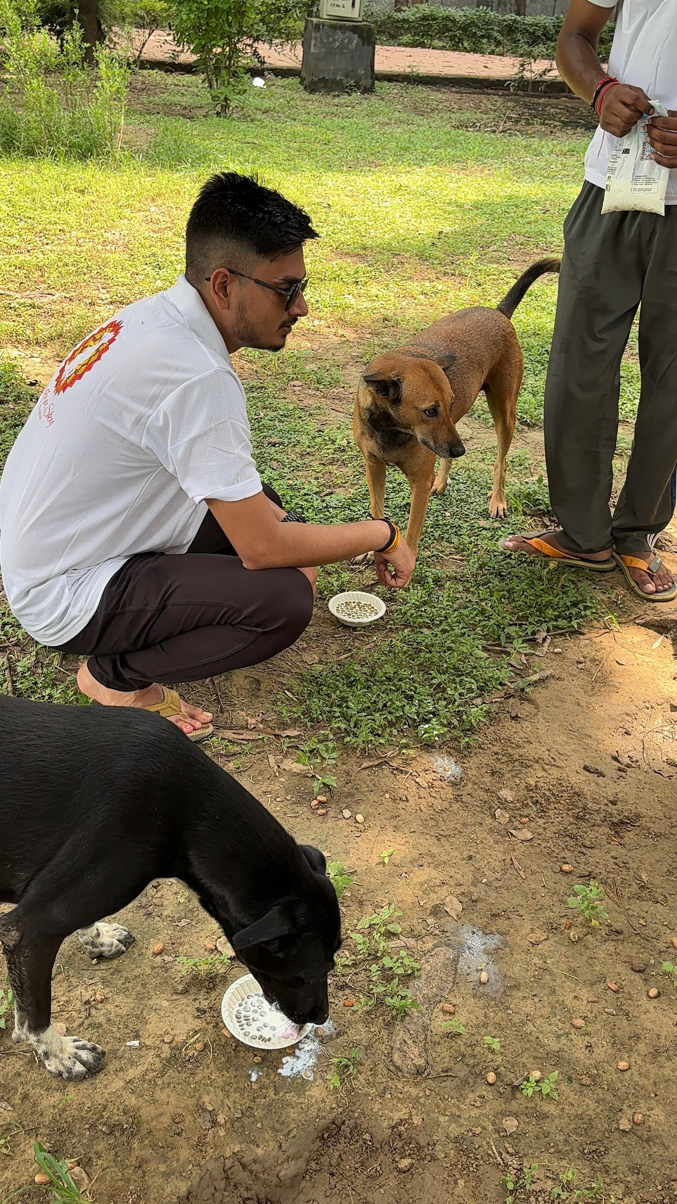 Saffron Sky Foundation drive