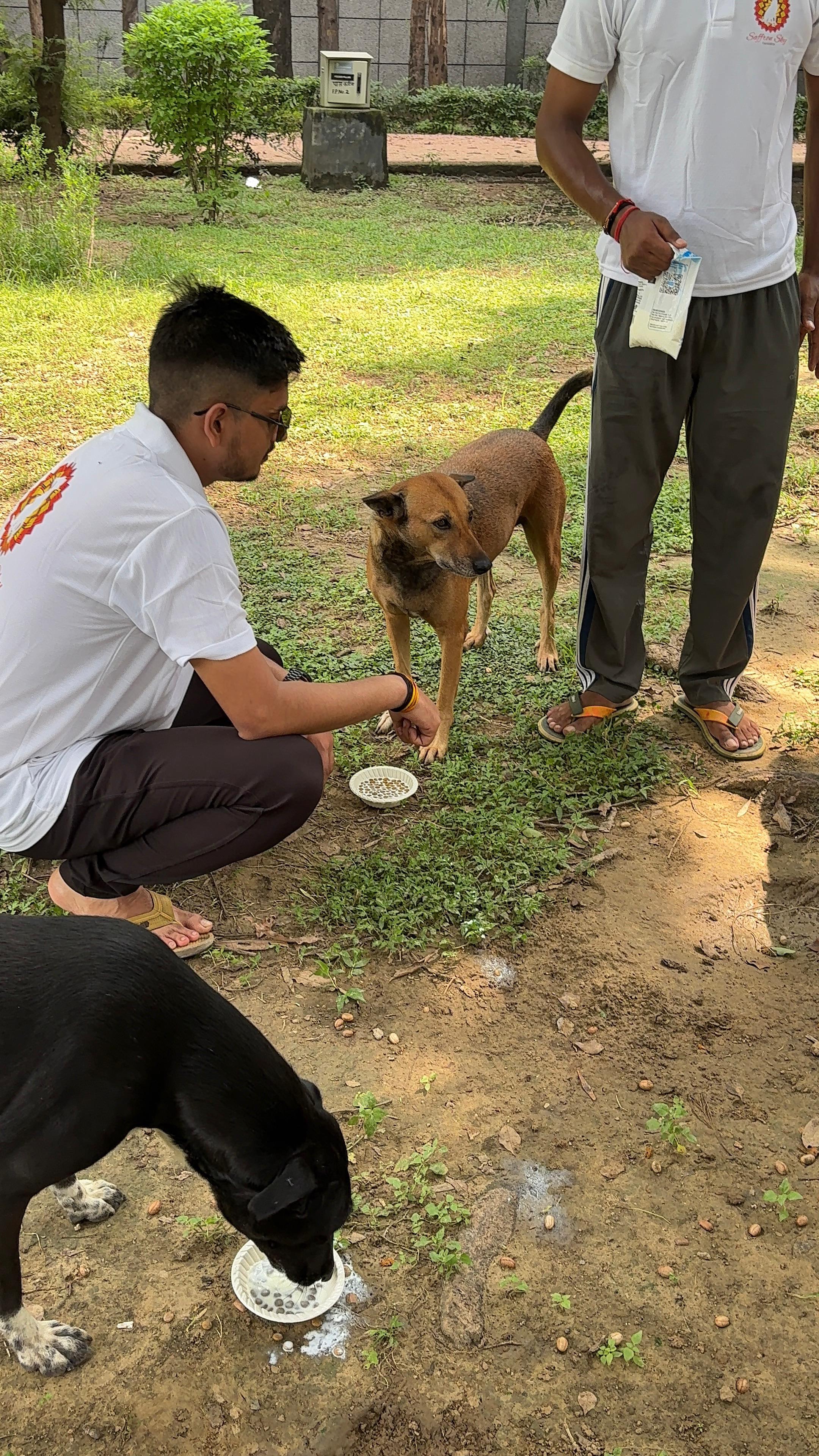 Saffron Sky Foundation drive