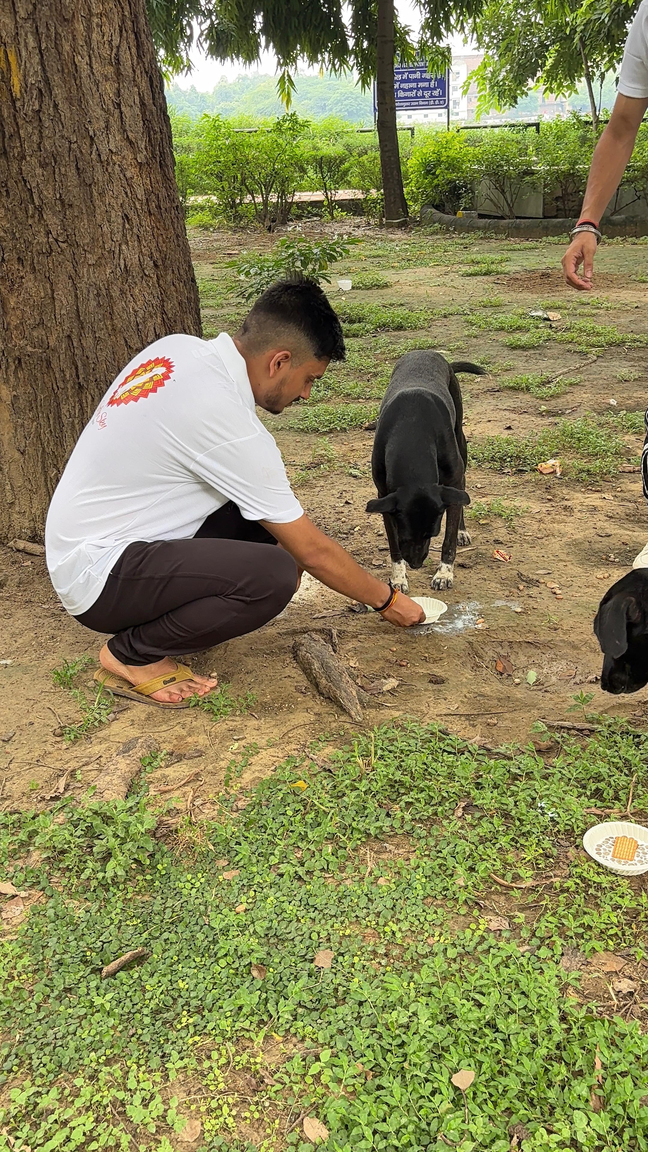Saffron Sky Foundation drive