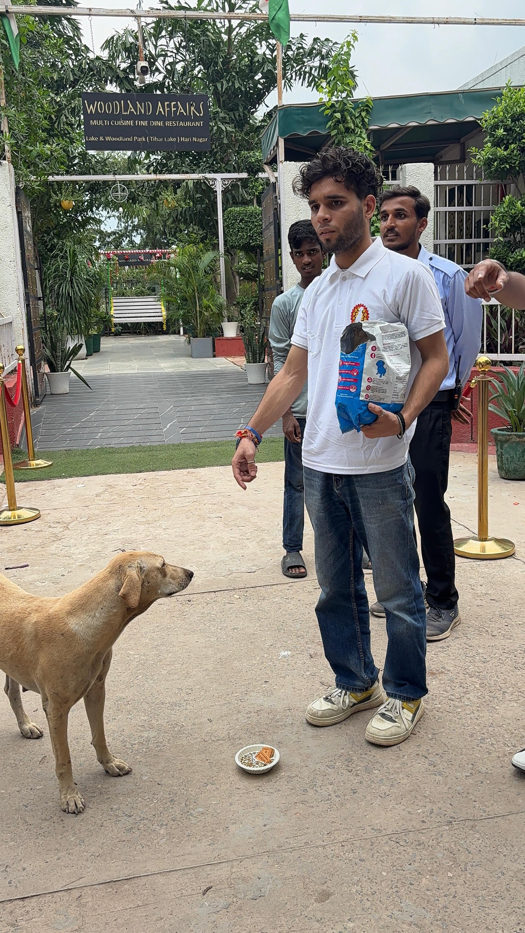 Saffron Sky Foundation drive